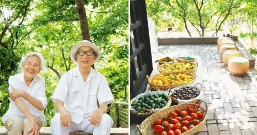日本一對177歲老夫妻的「田園生活」，28坪的原木小屋+200坪菜園，看完才知道什麼叫真正一起變老